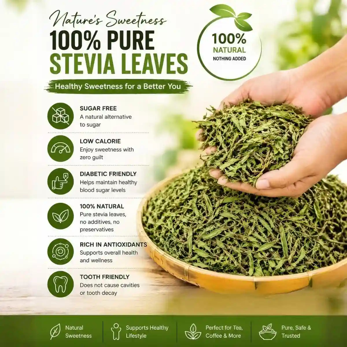 Stevia Dry Leaves | Natural Sugar Substitute | Zero Calorie Sweetener | Premium Dried Stevia Leaves