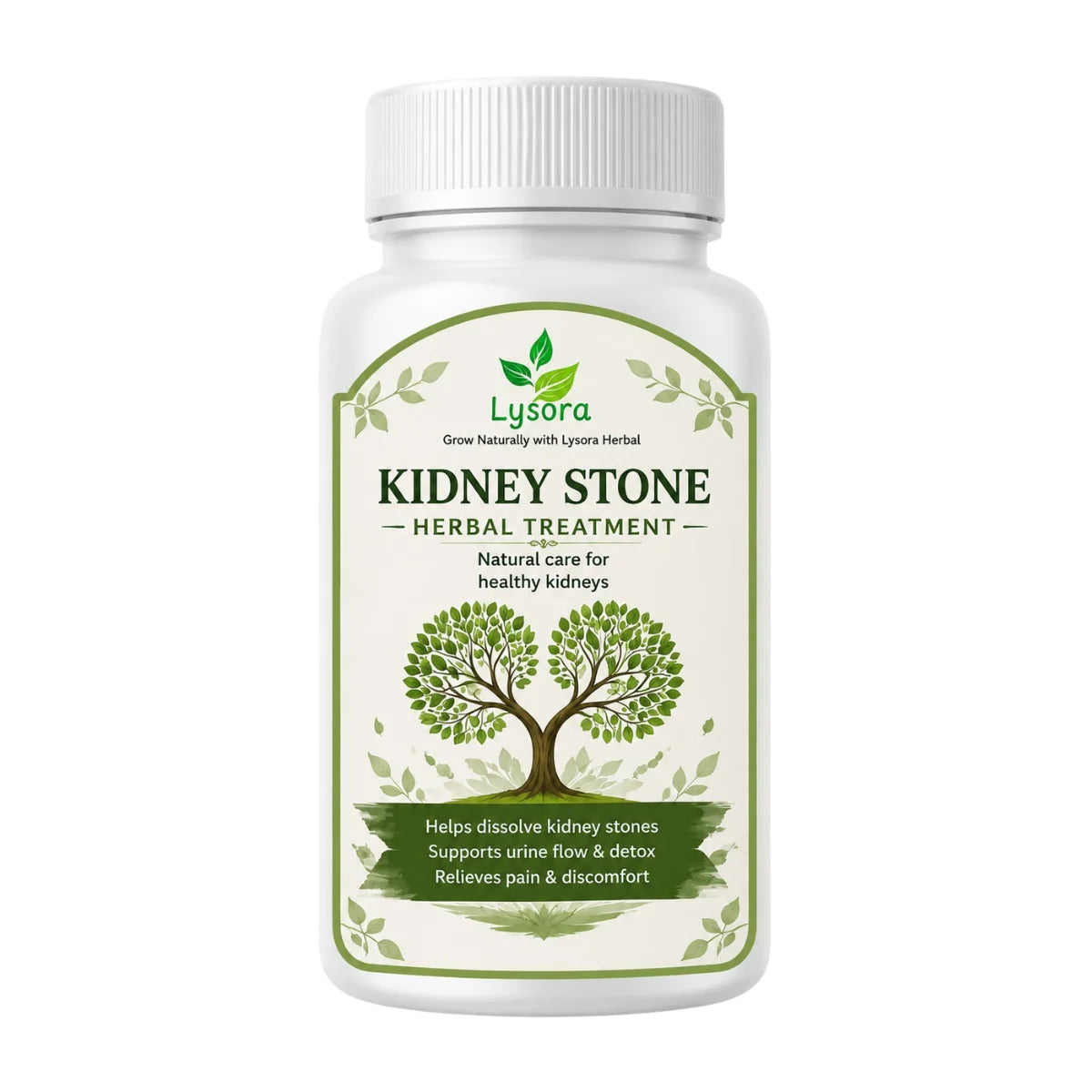 Lysora Kidney Stone Herbal Treatment | 100% Ayurvedic Herbal Formula for Kidney & Urinary Health